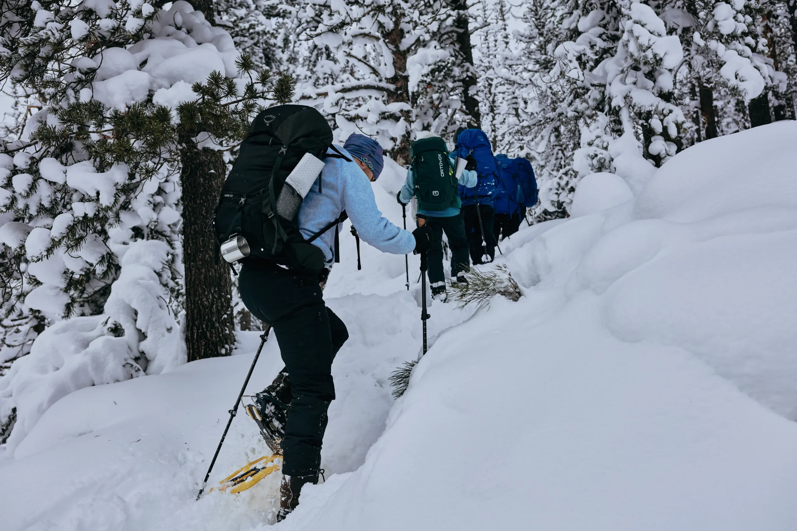 ESA-training-winter-survival