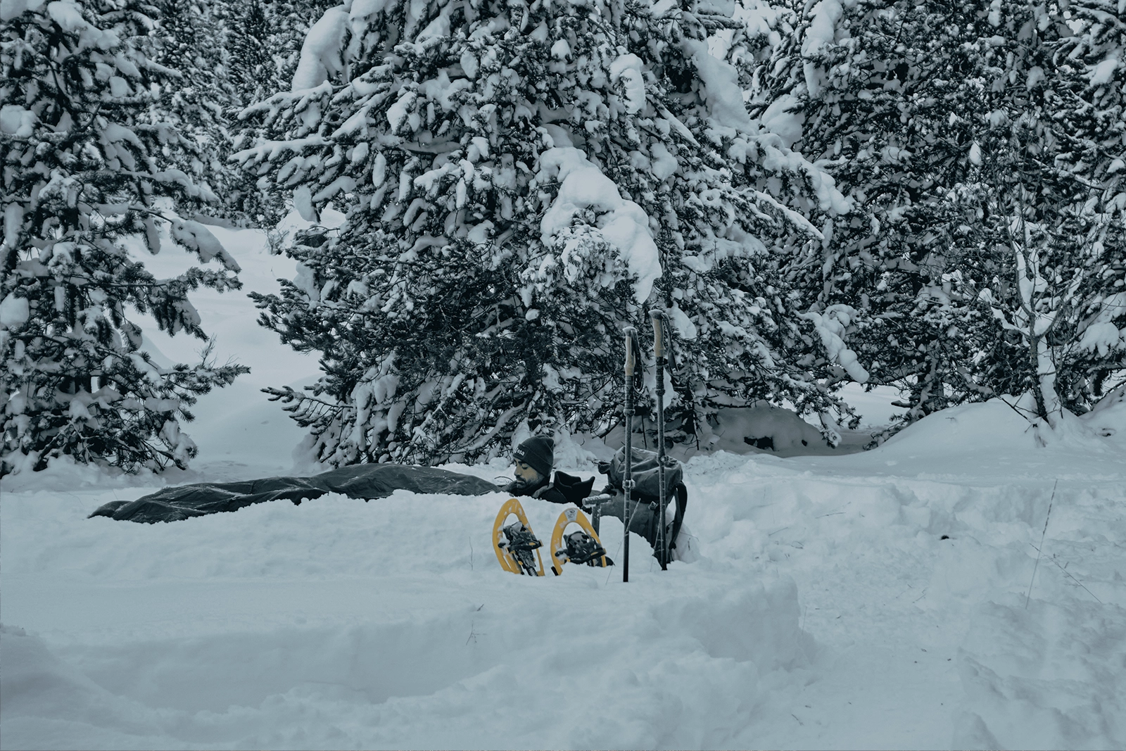 Lessons from Space and Nature 2